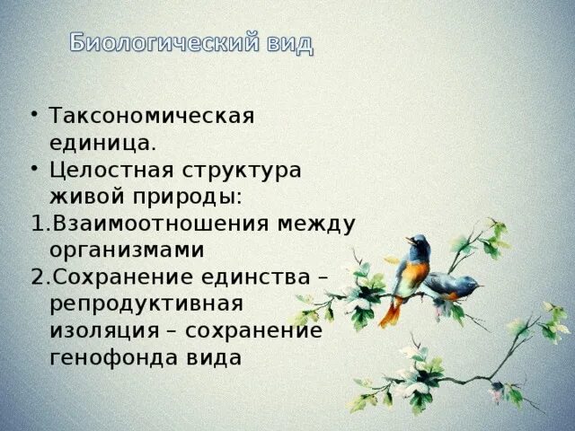Применение структур живой природы в технических устройствах. Целостная структура живой природы. вид его критерии и структура.