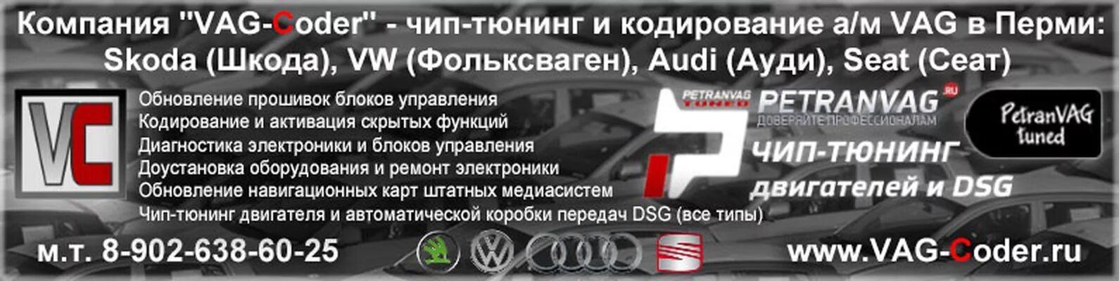Чип тюнинг ижевск. Кодирование vag. ваг компании. чип тюнинг пермь. фольксваген шкода ауди.