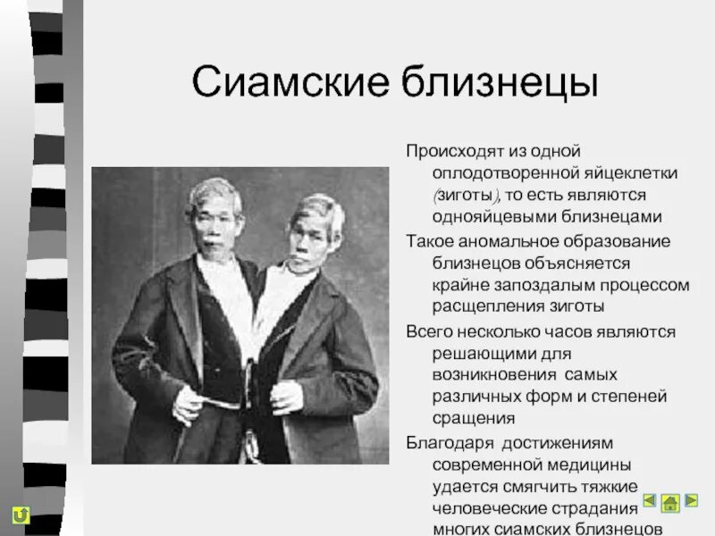 Что такое быть близнецом