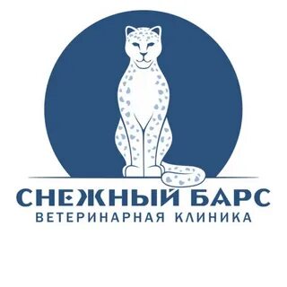 Снежный барс ветеринарная