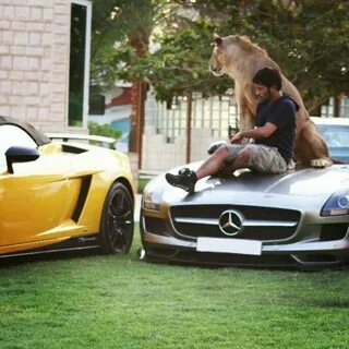 My cousin car