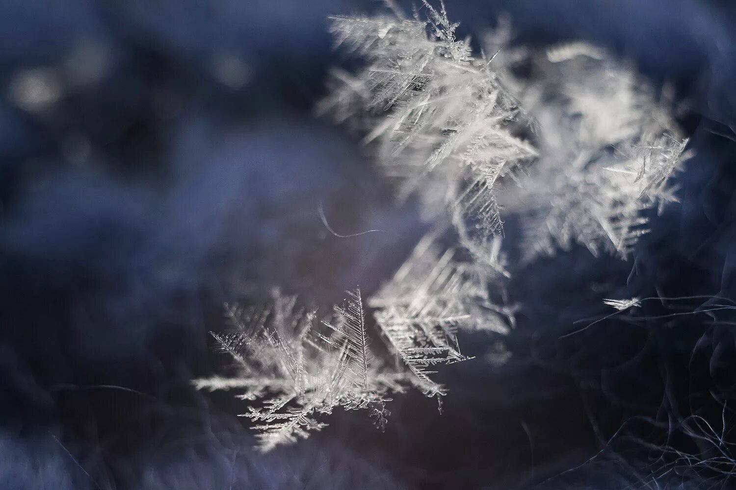 снежинки зимнее волшебство. город волшебных снежинок. красивые снежинки. зима снежинки фото.