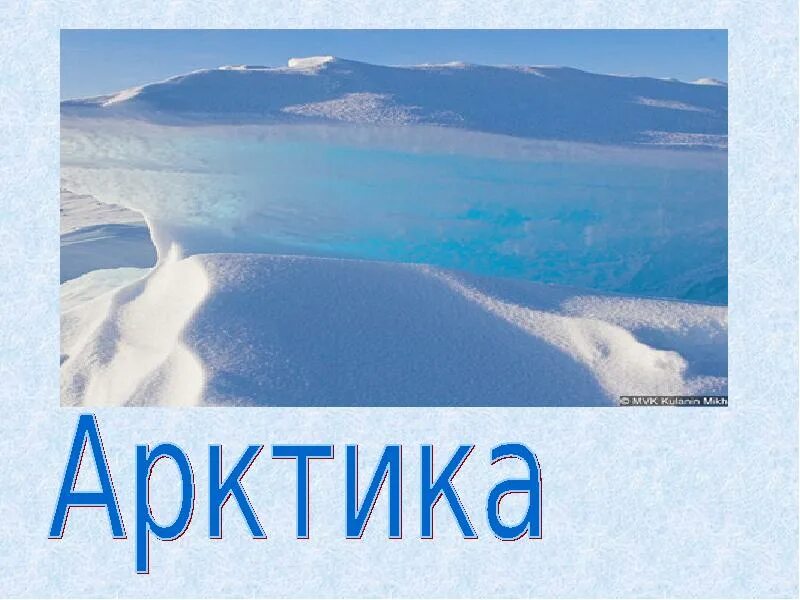 Антарктида. Арктика почему так называется. Слово арктика происходит. Антарктида текст. Антарктика это кратко.