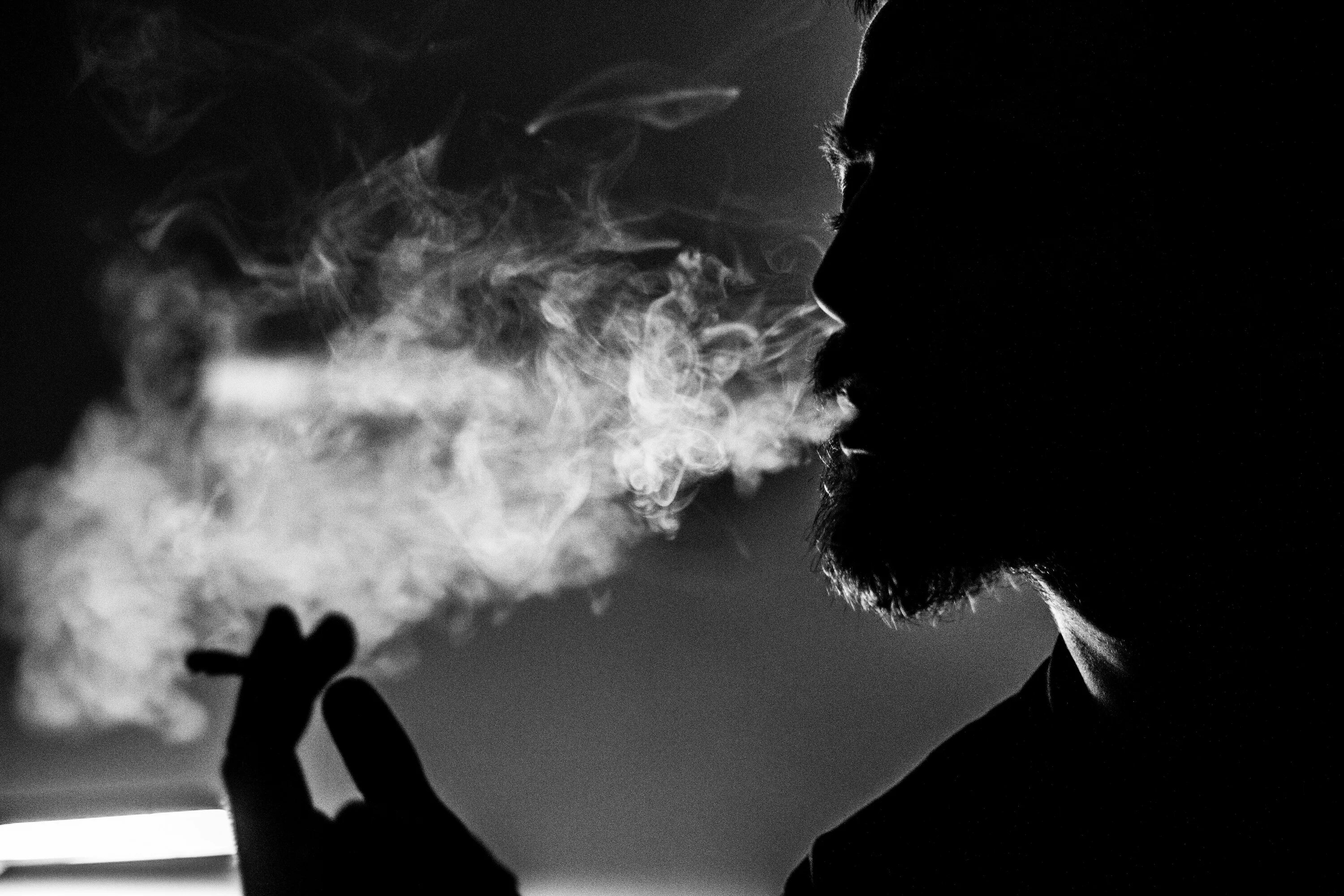 Smoke is bad for you