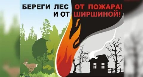 Плакат лес