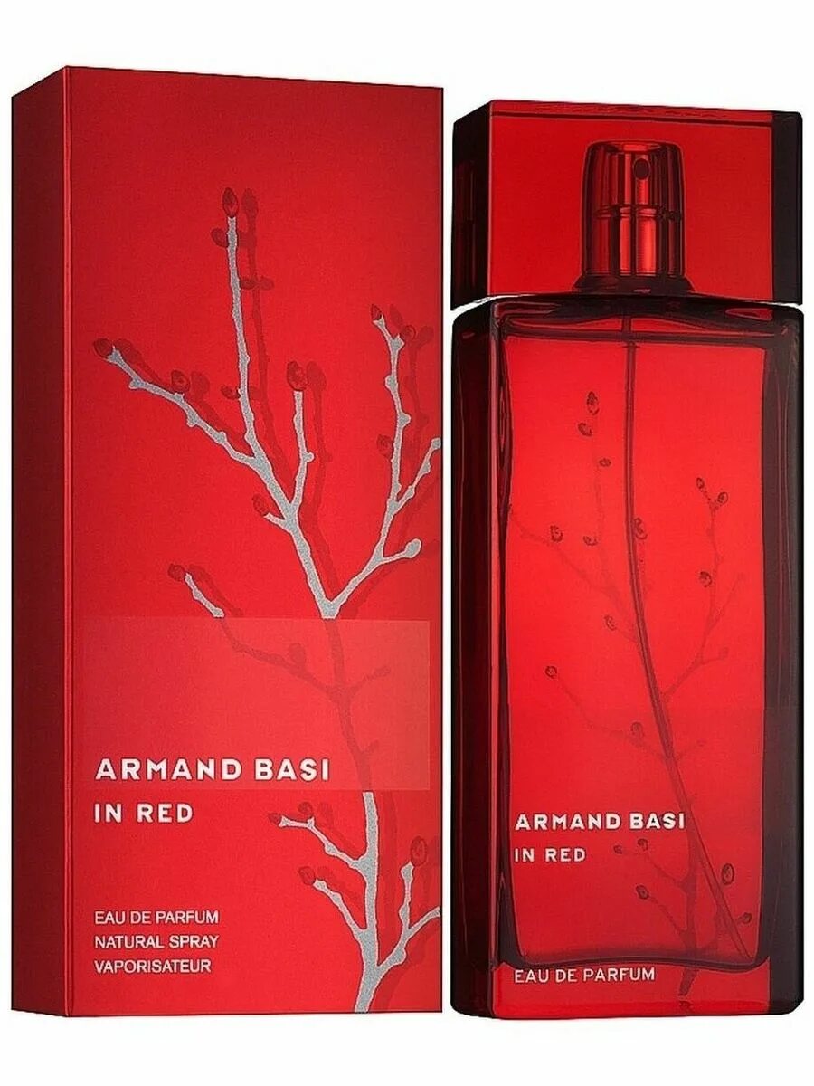 Armand basi build. Armand basi build