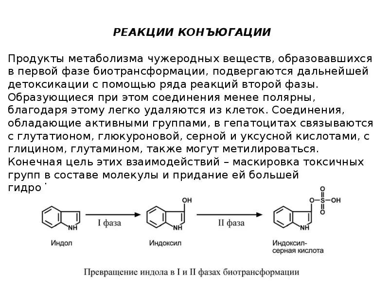 Реакция большую роль в
