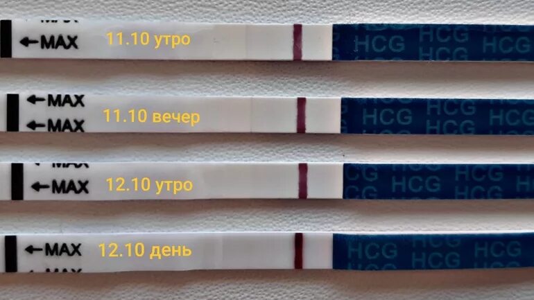 Динамика тестов на беременность мама чек. Мама чек тест линамикк. Мамочек динамика тестов. Тесты мама чек в динамике. Мама тест форум
