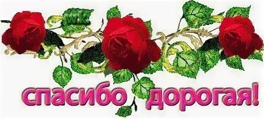 Привет спасибо дорогая