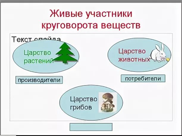 Круговорот веществ в природе 3 класс окружающий мир. Окружающий мир модель круговорота веществ. Производители потребители Разрушители. Модель круговорота веществ в природе 3 класс окружающий мир.