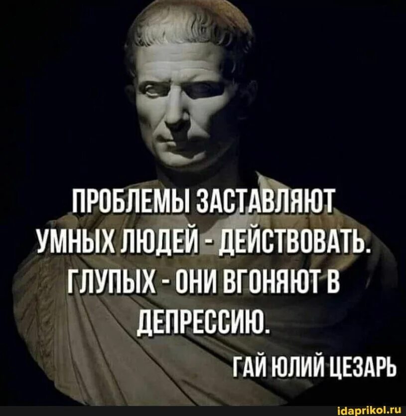 Побуждает действовать. Проблемы заставляют умных людей действовать. Умный человек заставляет цитата. Фразы заставляющие действовать. Проблемы должны заставлять действовать.