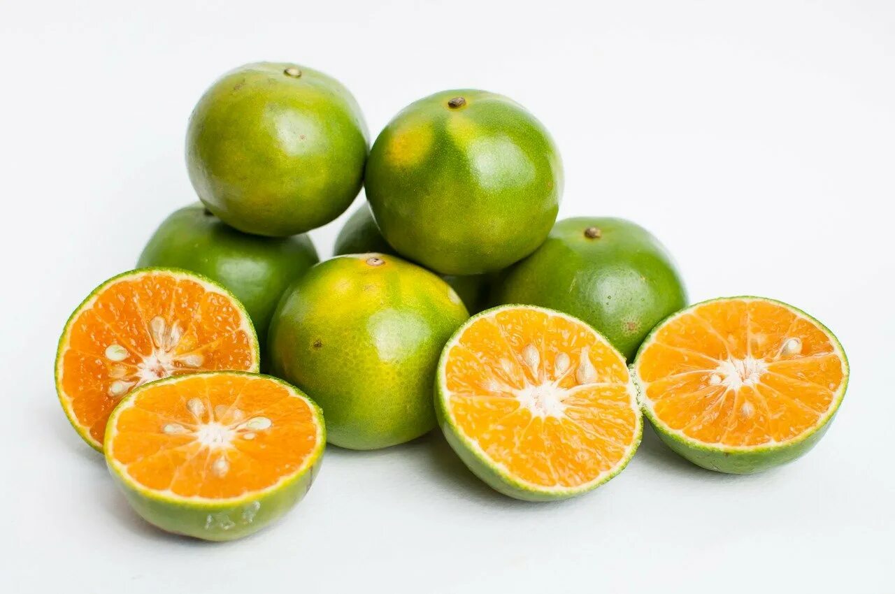 Апельсин. Цитрусовые плоды. Апельсин фрукт. Гибриды цитрусовых фруктов.