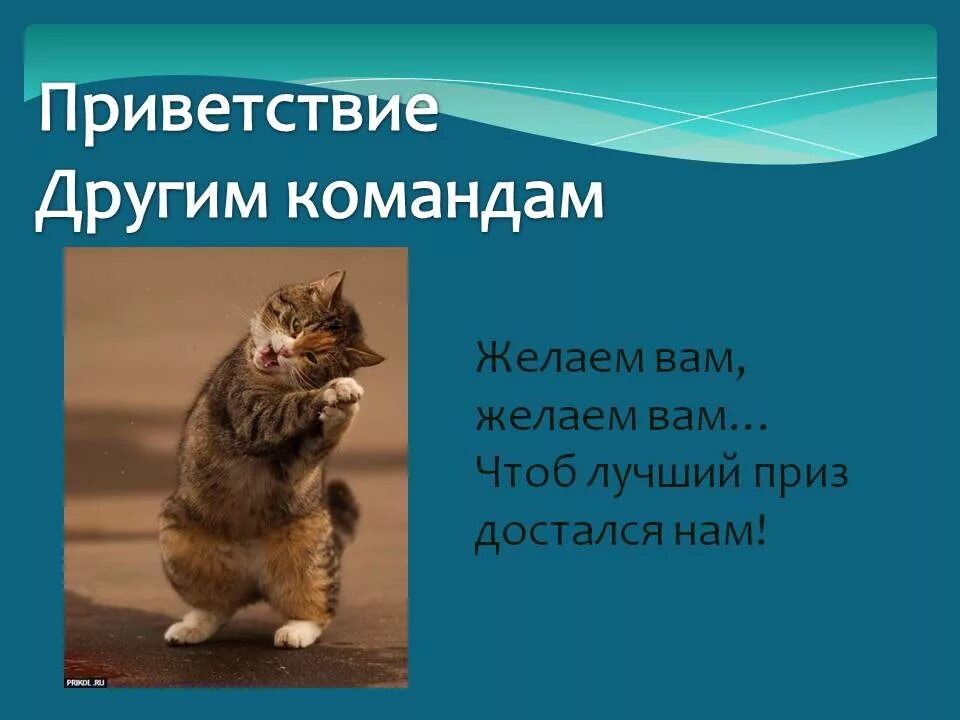 Команда название девиз приветствие. Приветствие команды. Приветствие команде соперников. Приветствие команде соперников в стихах. Приветствие противникам.