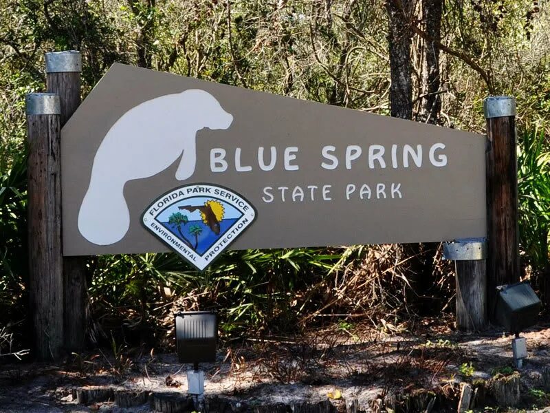 Spring state. Violet spring группа. Парк голубых родников, флорида. Blue spring. Парк во флориде.