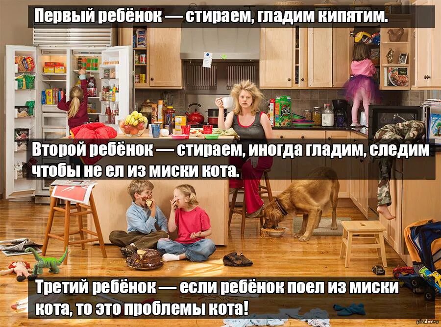 Не стирано не глажено. Глажка запрещена значок. Анекдот это проблемы кота. Первый ребенок все стираем гладим кипятим. Символы ухода за изделием.