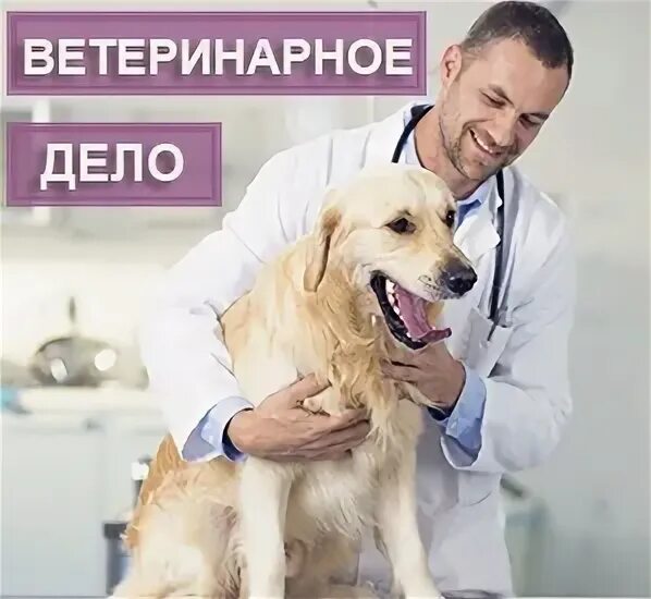 Дело ветеринаров