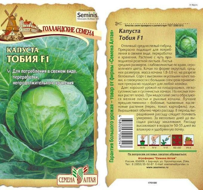 Капуста чамп описание сорта. Капуста таурус f1. капуста тобия. капуста тобия описание сорта. капуста описание.