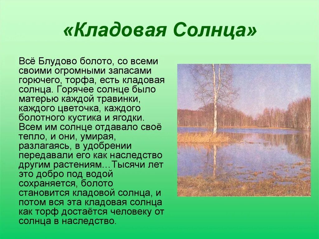 Блудово болото пришвин. Блудово болото кладовая солнца. Блудово болото из кладовой солнца. Сочинение по кладовой солнца. Кладовая солнца сочинение 6