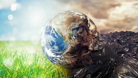 Damage caused to environment