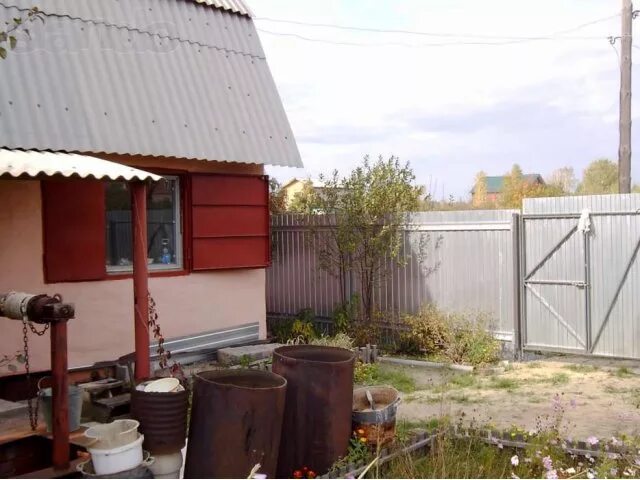 Снт любитель 306 участок. Снт любитель бузулук. Снт любитель 2 челябинск. Снт сады любитель. Снт сады любитель.