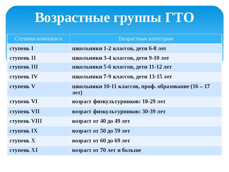 Сколько возрастных групп