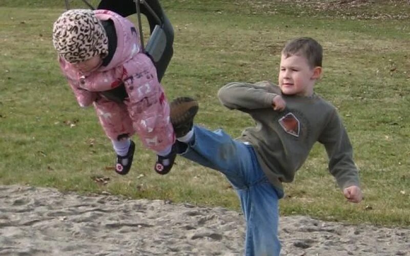 кот каратист. веселые драки. веселые драки. конфликт интересов карикатура. мультяшные драки.