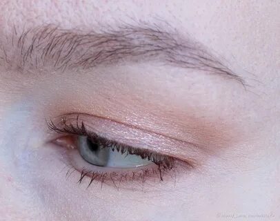 Zeesea tipsy kitty eyeshadow quad