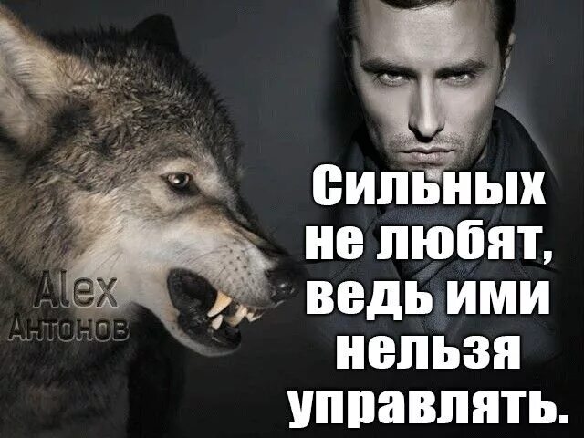 Я стал сильнейшим и уничтожил все. Сильных не любят ими нельзя управлять. Сильных не любят они неудобны ими нельзя управлять. Сильные цитаты. Цитаты про сильных духом людей.