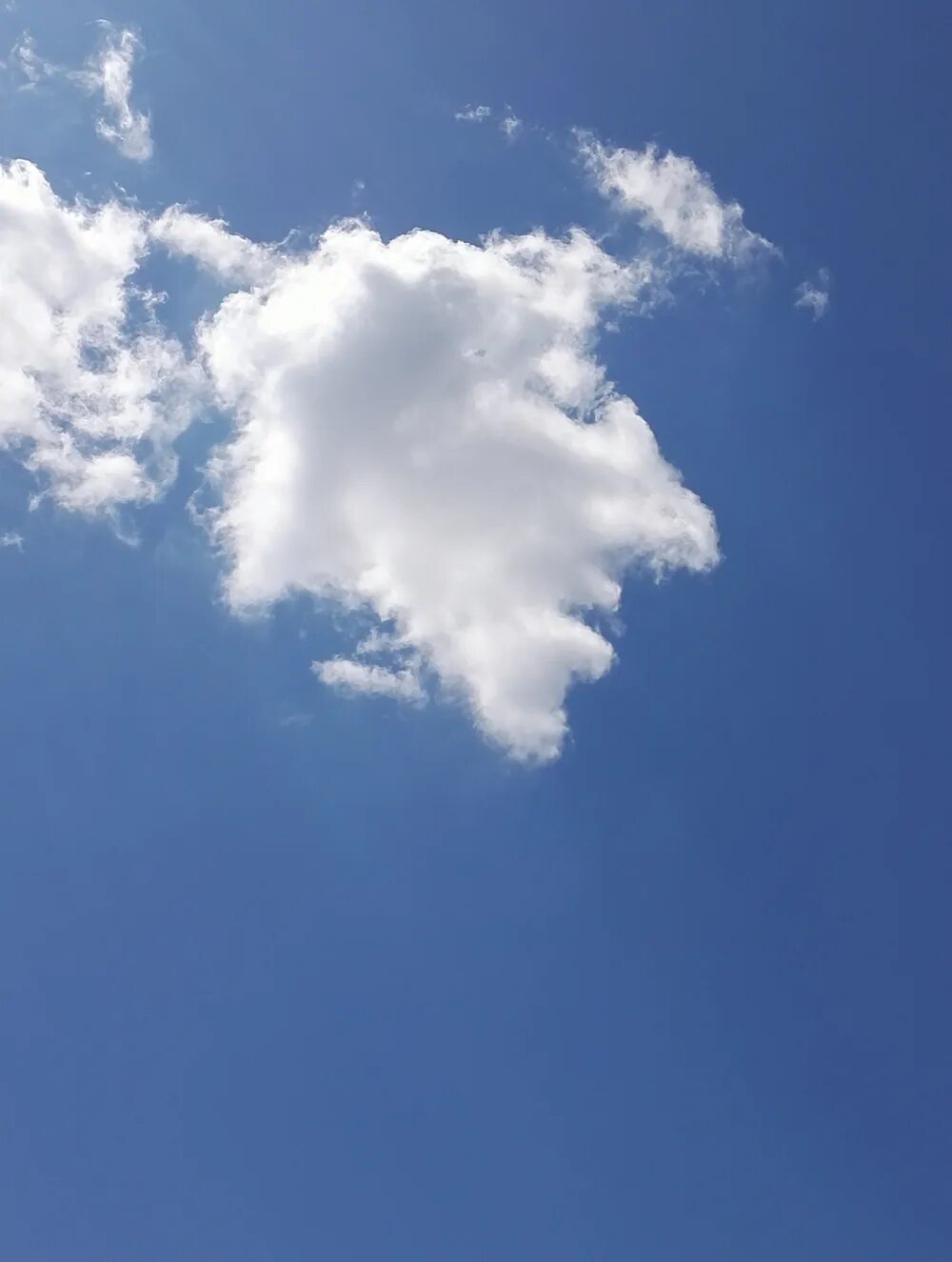 Огромное белое облако. Облака. На что похожи облака. Облака интересной формы. Облака форма.