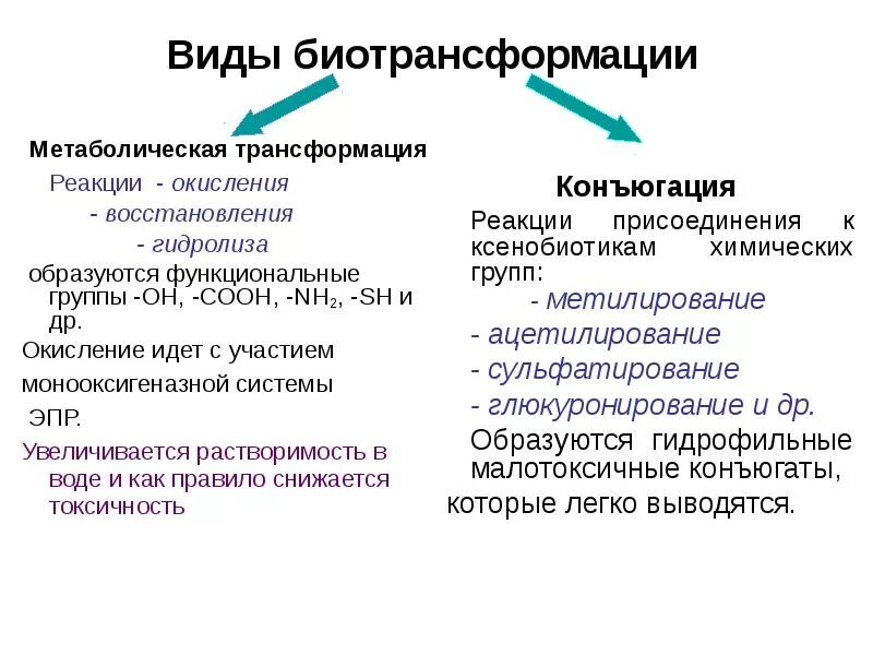 Трансформация кратко. Типы химических реакций реакции метаболической трансформации. Реакции 1 фазы биотрансформации лекарственных веществ. Реакции 2 фазы метаболизма ксенобиотиков. Типы реакции метаболизма лекарственных веществ.