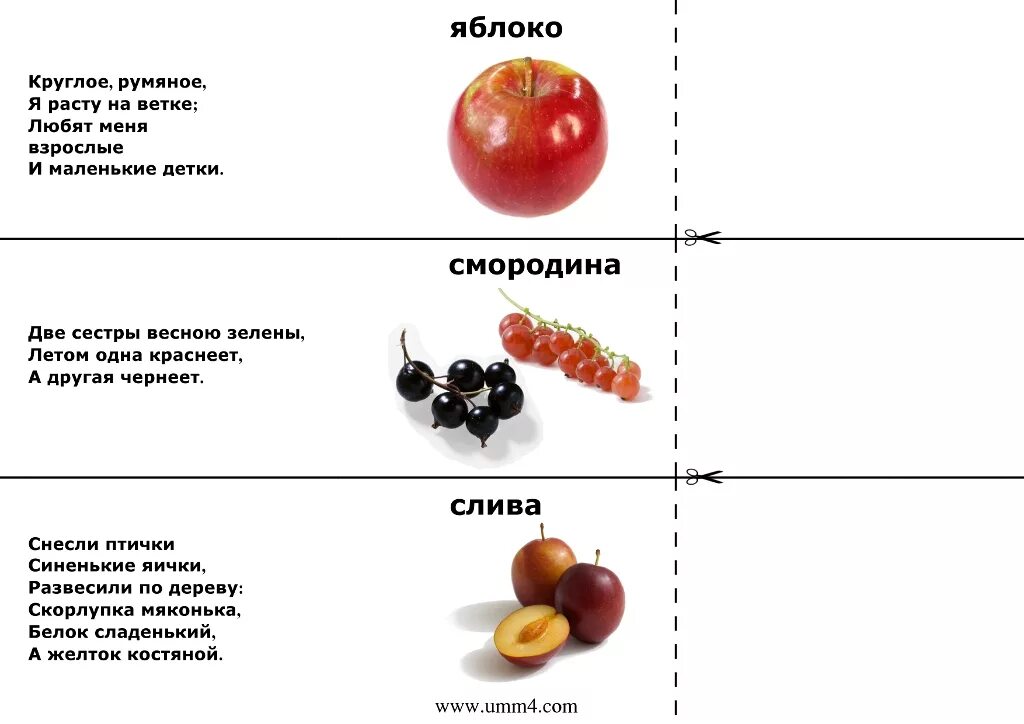 Загадки для детей 6-7 лет с ответами легкие. Самые сложные загадки с ответами снизу. Загадки для шестилетних детей с ответами. Загадки для детей легкие с ответами.