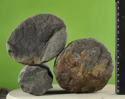 Сплав жизни каламити
