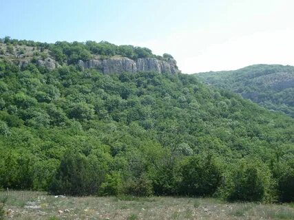 Курская дере