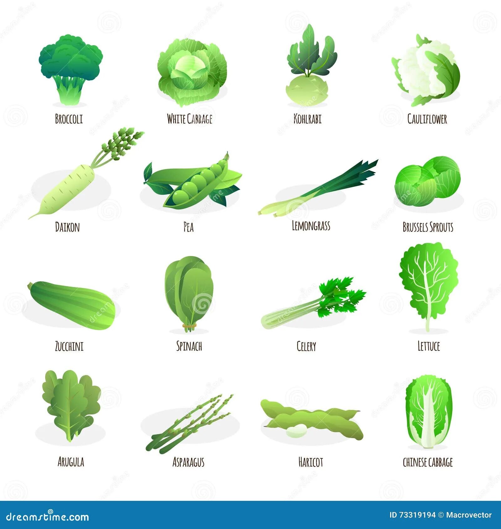Какие бывают зеленые овощи. Овощи зеленого цвета. Зелёный овощ название. Овощи зеленого цвета для детей. Овощи зеленого и белого цвета.
