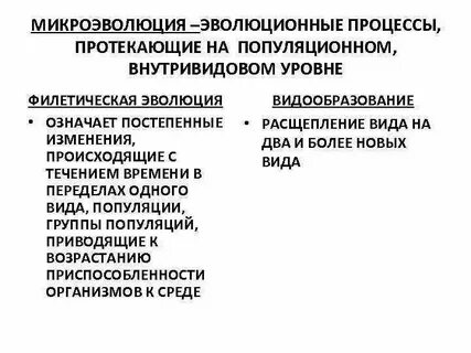 Каковы основные механизмы способствующие микроэволюции