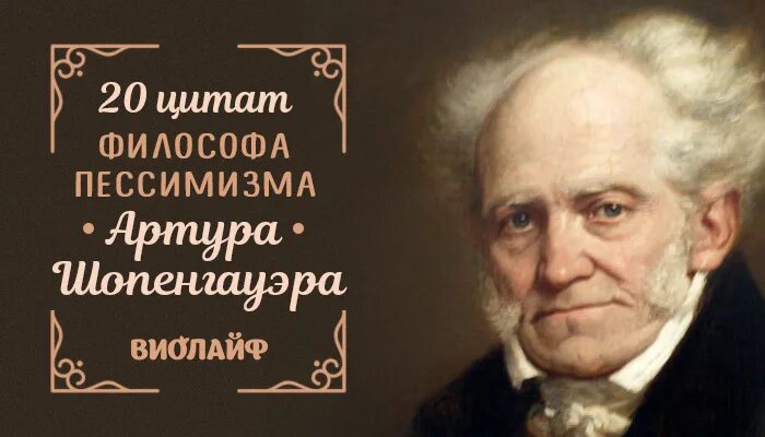 Высказывания философов нового времени. Шопенгауэр цитаты. Шопенгауэр фото.