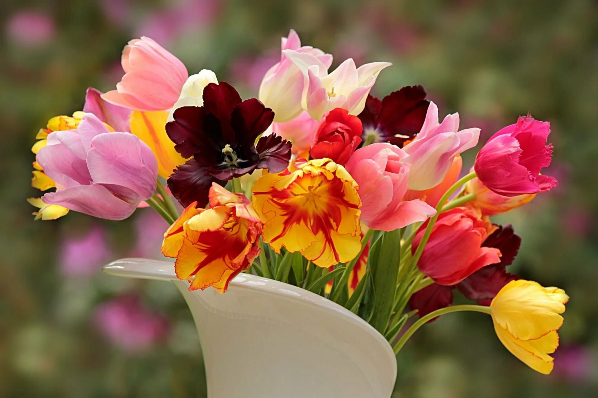 Разноцветные тюльпаны в вазе. Разноцветные тюльпаны фото. Тюльпаны в вазе. Тюльпаны фото на рабочий стол. Цветы долго сохраняющиеся