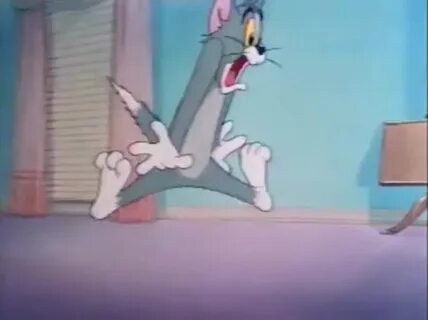 Tom scream