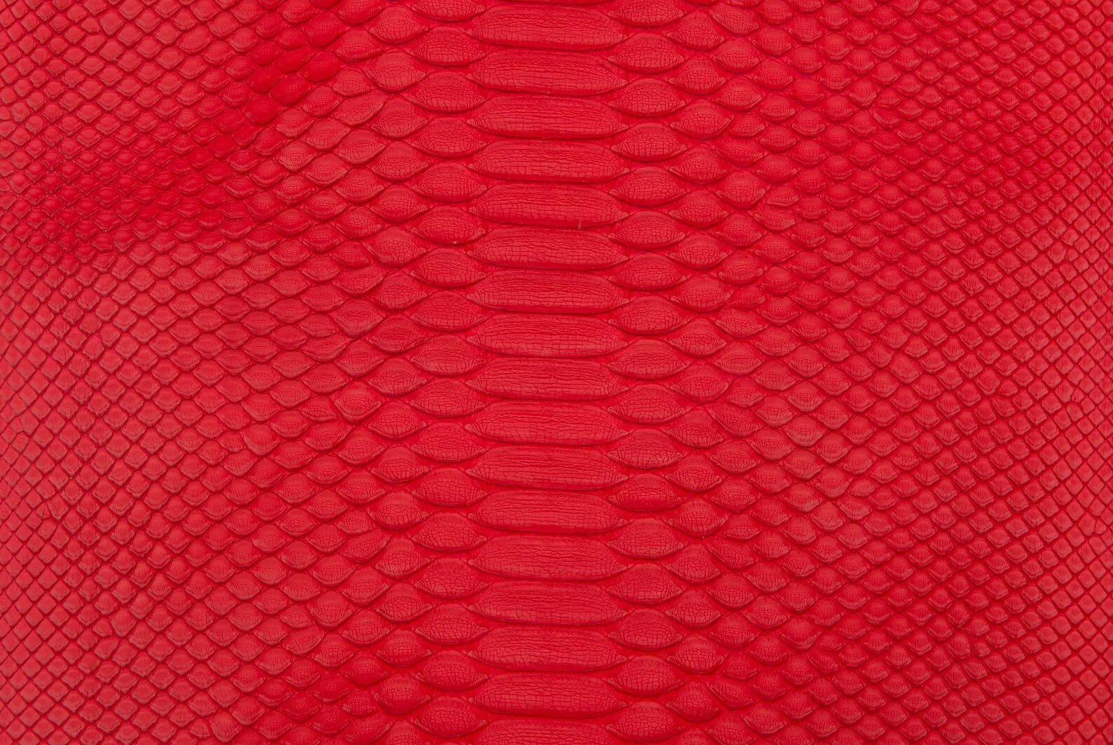 Python leather