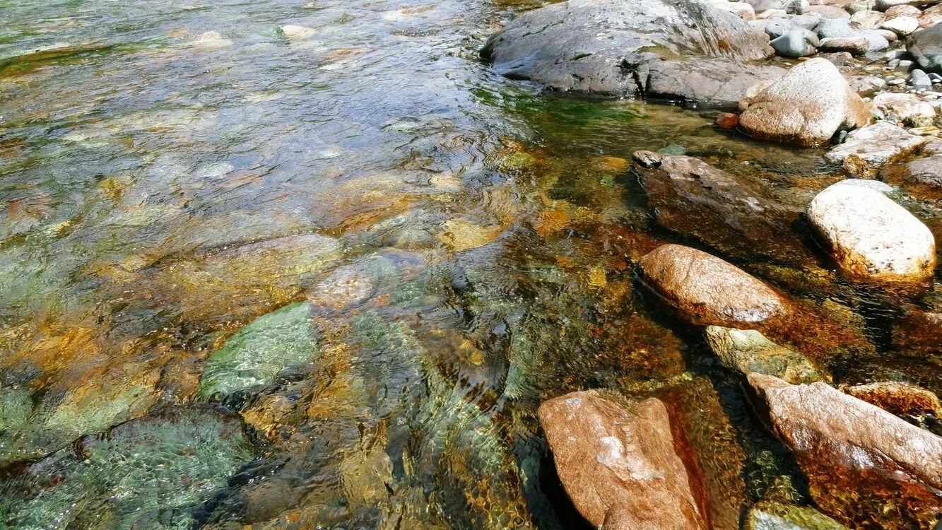 Ручей прозрачная вода. Каменистое дно реки. Прозрачная вода в ручейке. Зашумели воды быстрого ручья.