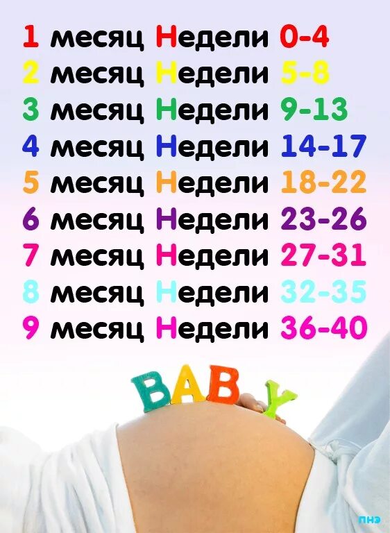 30 недель это. Недели беременности по месяцам. Недели и месяцы беременности. Сроки беременности по неделям и месяцам. Календарь беременности по месяцам.