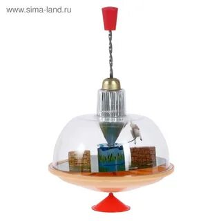 Скачущий волчок