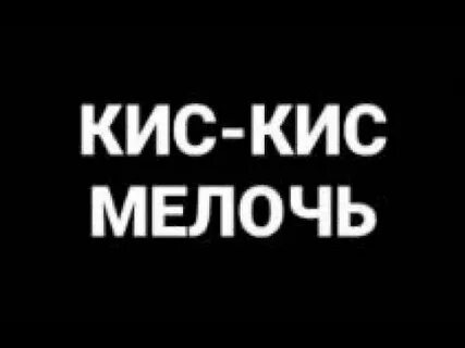 Мелочь кис кис