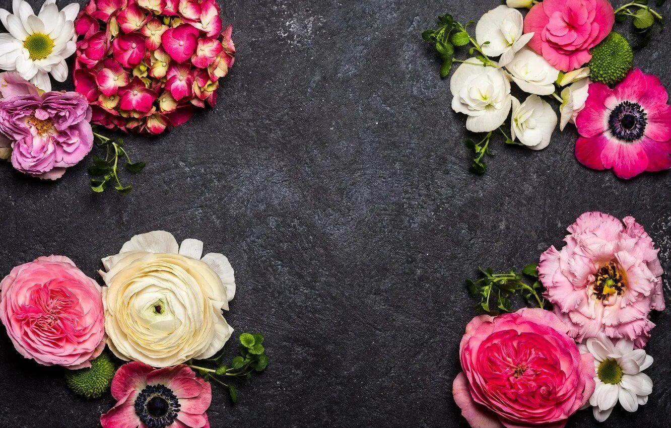 Цветы на фон. Мелкие розовые цветы. Цветочный фон. Фон с цветами. Цветы на фон.