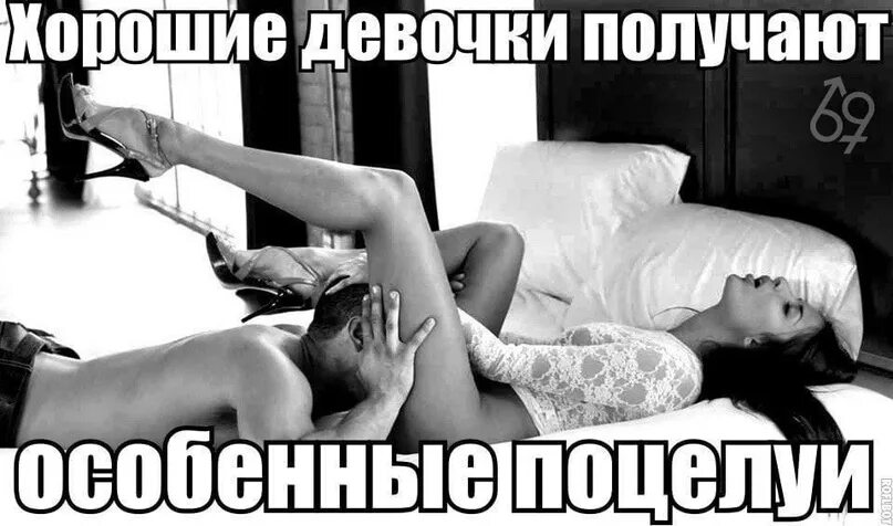 Куни Каждое Утро