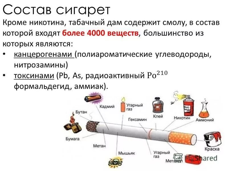 Из чего состоит сигарета состав. Вещества в сигарете. Состав табачного дыма. Полный состав сигарет.