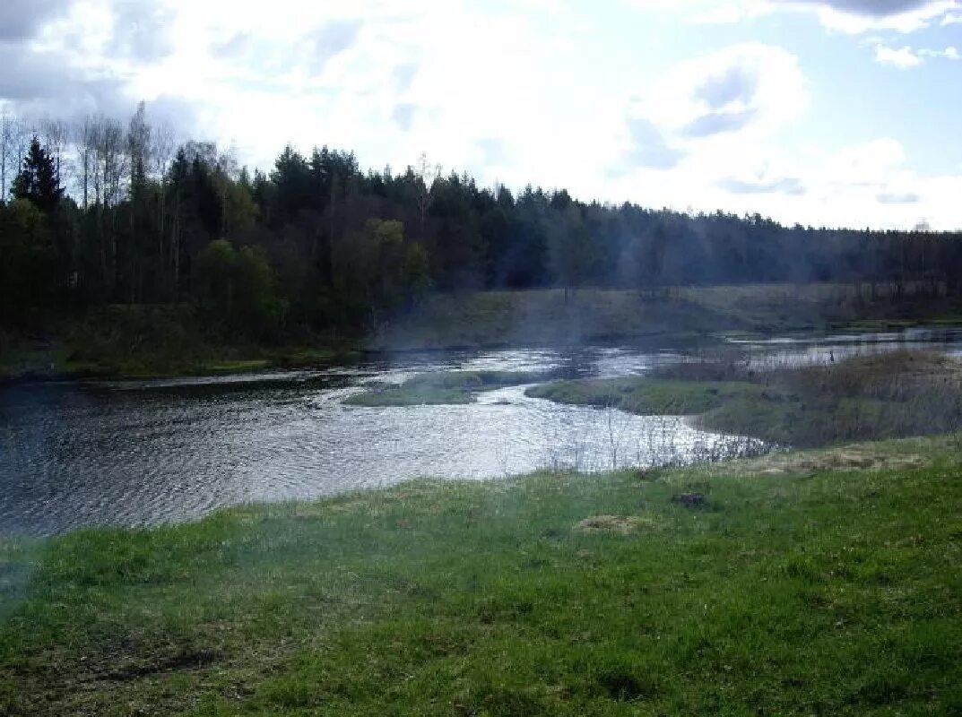 Конаково река. Коряги в реке под водой. Деревня нижние выселки тверской области. Река берёза (тверская. Город увадзима.