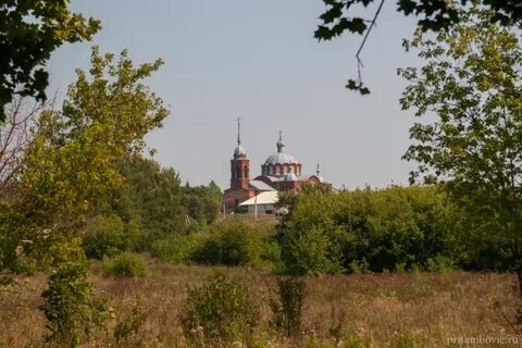 Селезни смоленская