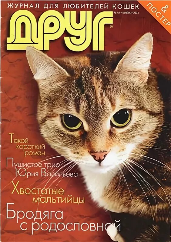 Сайт журнала друг. Журнал с котиками. Журнал друг для любителей кошек. Обложка журнала о кошках. Обложка для журнала с котятами.