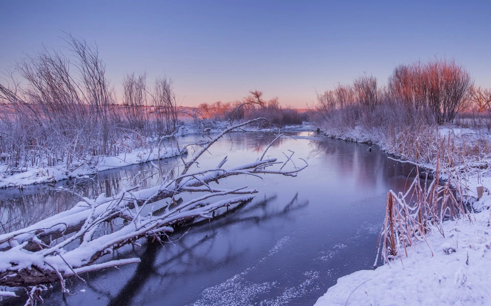 Зимний лес с речкой. Зимняя река. Зимняя река в деревне. Река тихая сосна зимой. Зимняя речка, светает.